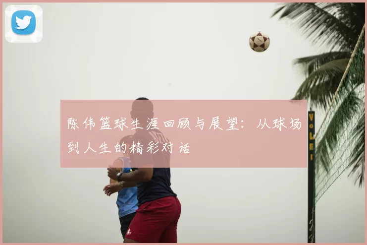 陈伟篮球生涯回顾与展望:从球场到人生的精彩对话