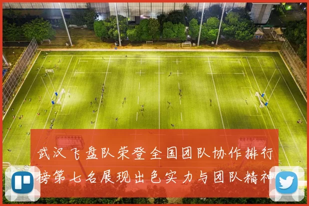 武汉飞盘队荣登全国团队协作排行榜第七名展现出色实力与团队精神