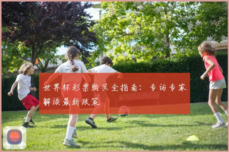 世界杯彩票购买全指南:专访专家解读最新政策