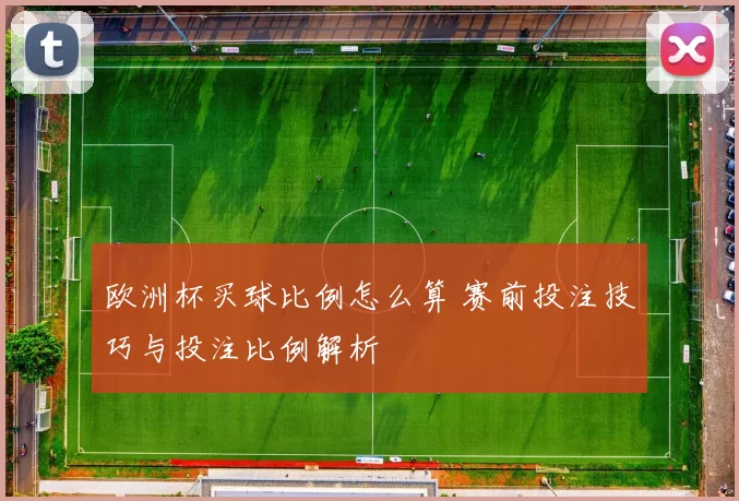 欧洲杯买球比例怎么算 赛前投注技巧与投注比例解析