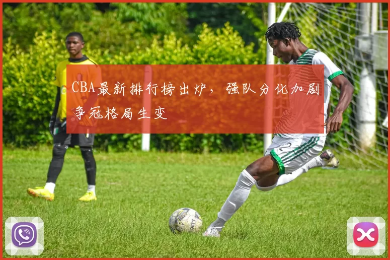 CBA最新排行榜出炉,强队分化加剧争冠格局生变
