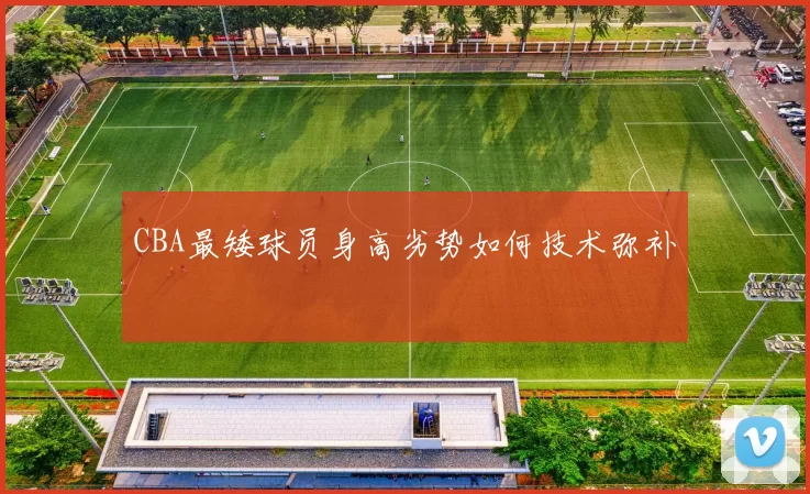 CBA最矮球员身高劣势如何技术弥补