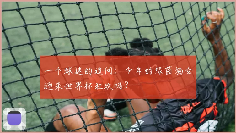 一个球迷的追问:今年的绿茵场会迎来世界杯狂欢吗?