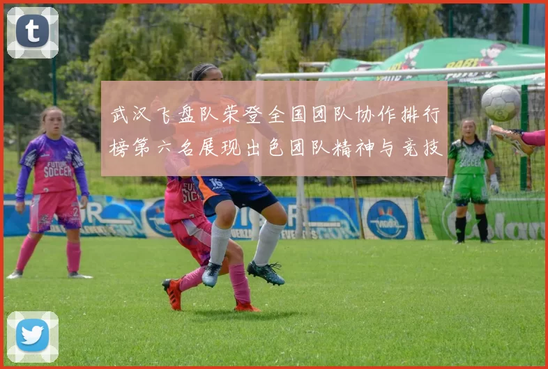 武汉飞盘队荣登全国团队协作排行榜第六名展现出色团队精神与竞技实力