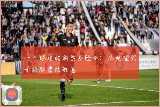 一个球迷的购票历险记:从绝望到手握球票的狂喜