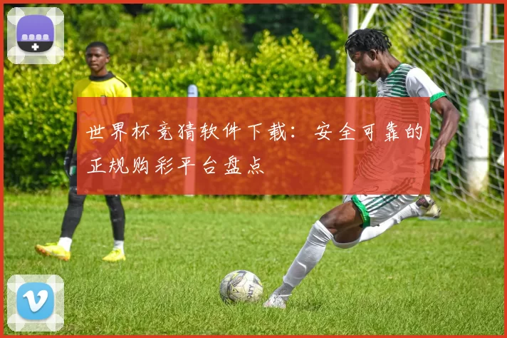 世界杯竞猜软件下载：安全可靠的正规购彩平台盘点