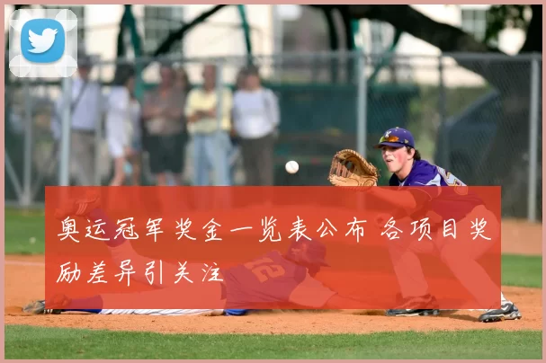 奥运冠军奖金一览表公布 各项目奖励差异引关注