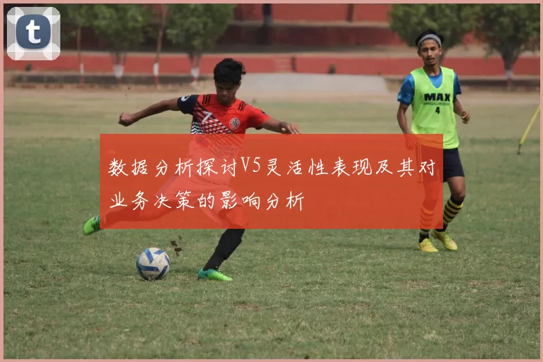 数据分析探讨V5灵活性表现及其对业务决策的影响分析
