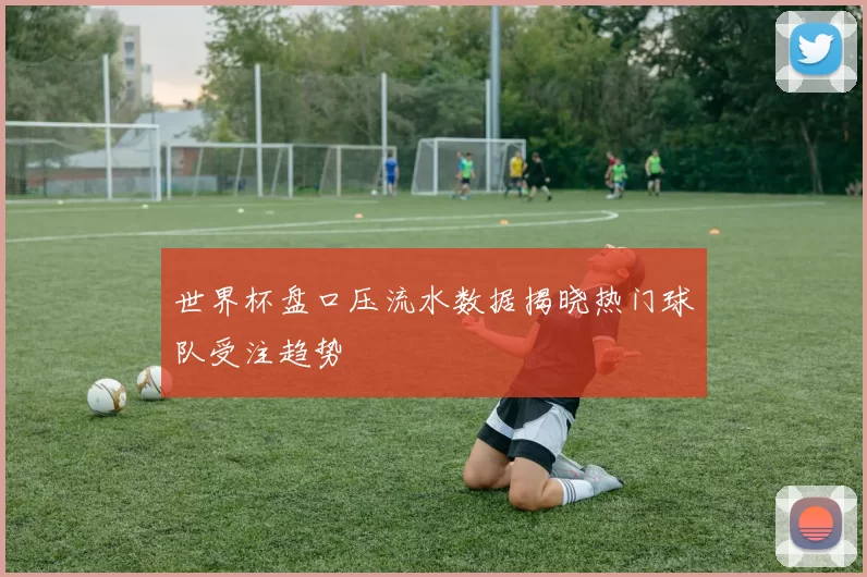 世界杯盘口压流水数据揭晓热门球队受注趋势