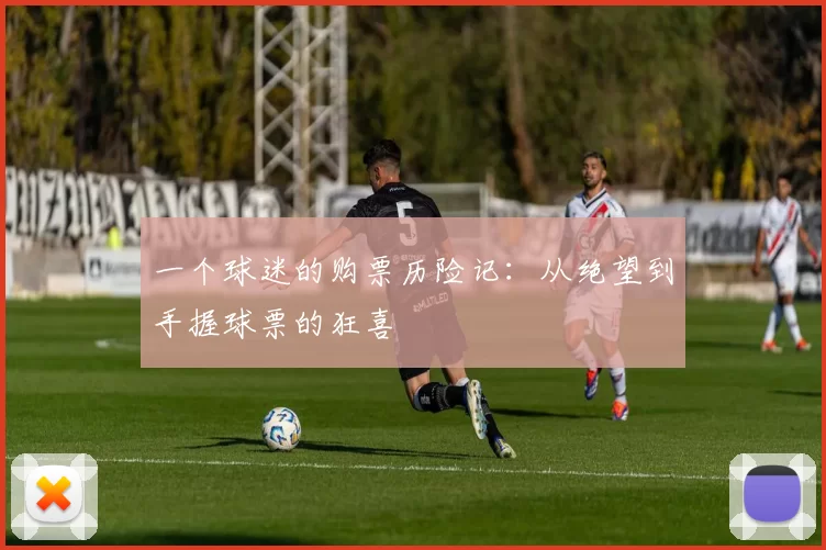 一个球迷的购票历险记:从绝望到手握球票的狂喜