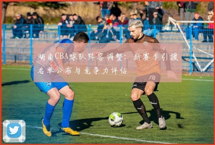 湖南CBA球队阵容调整：新赛季引援名单公布与竞争力评估