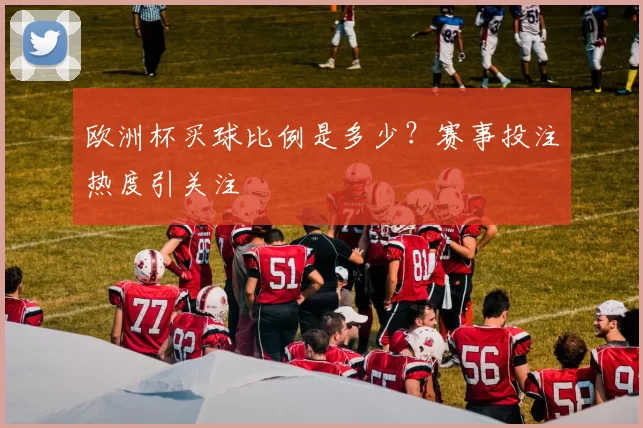欧洲杯买球比例是多少？赛事投注热度引关注
