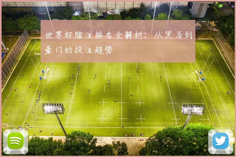 世界杯赌注排名全解析:从黑马到豪门的投注趋势