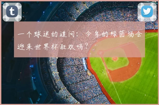 一个球迷的追问:今年的绿茵场会迎来世界杯狂欢吗?