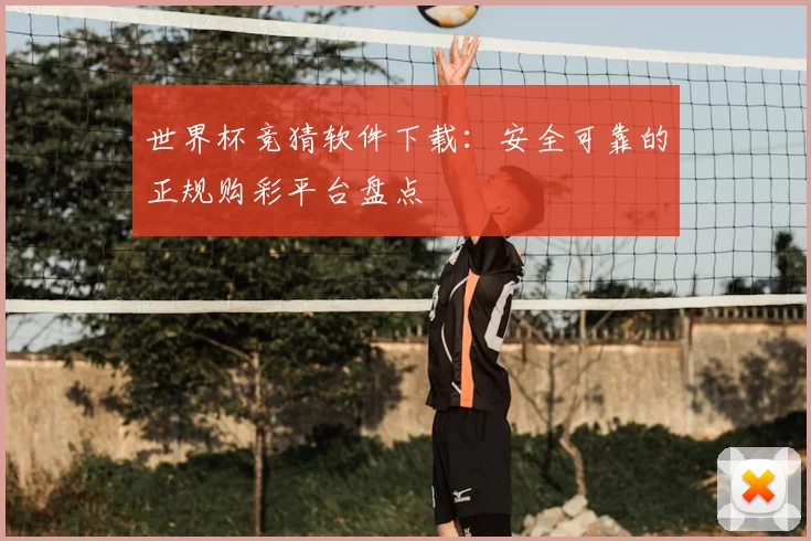 世界杯竞猜软件下载：安全可靠的正规购彩平台盘点