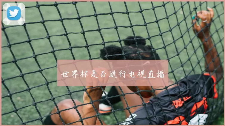 世界杯是否进行电视直播