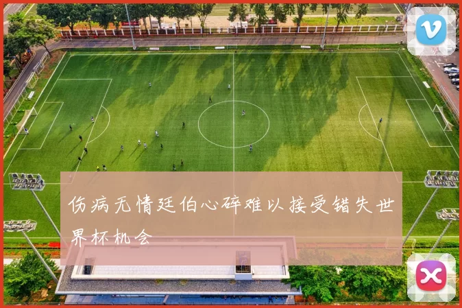 伤病无情廷伯心碎难以接受错失世界杯机会