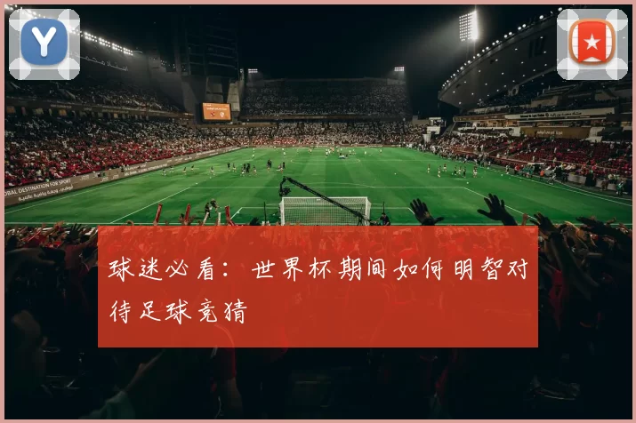 球迷必看:世界杯期间如何明智对待足球竞猜