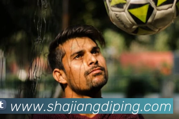 App Interface Preview